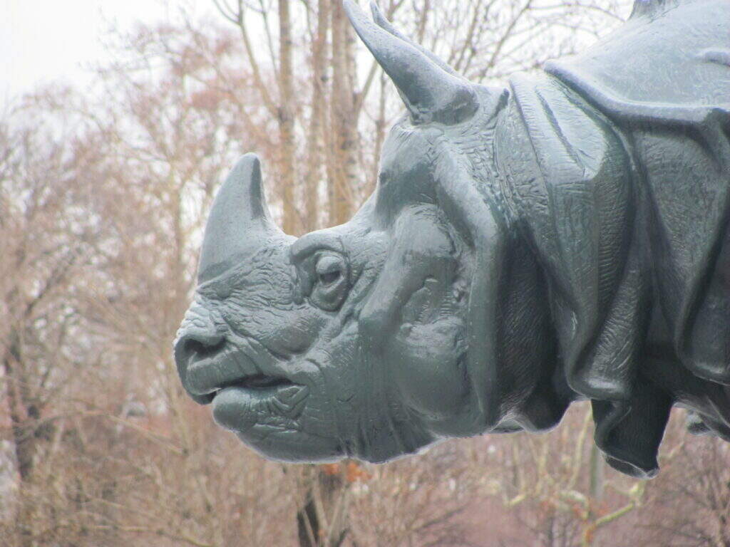 statue rhinocéros Orsay