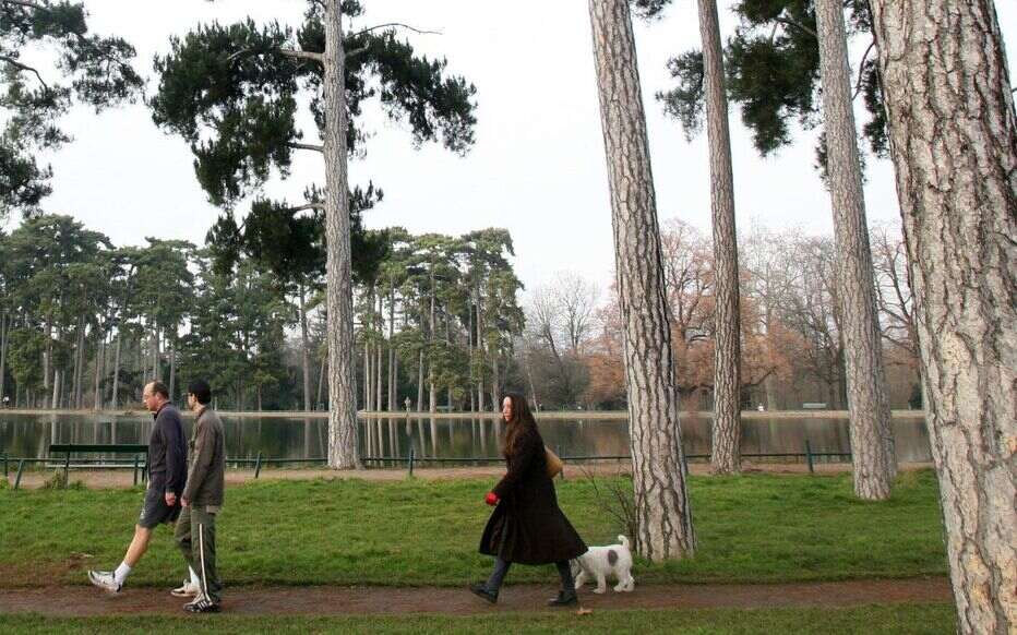 balade au bois de Boulogne avec chiens