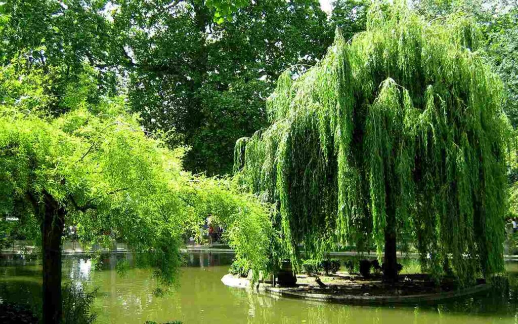 buttes chaumont