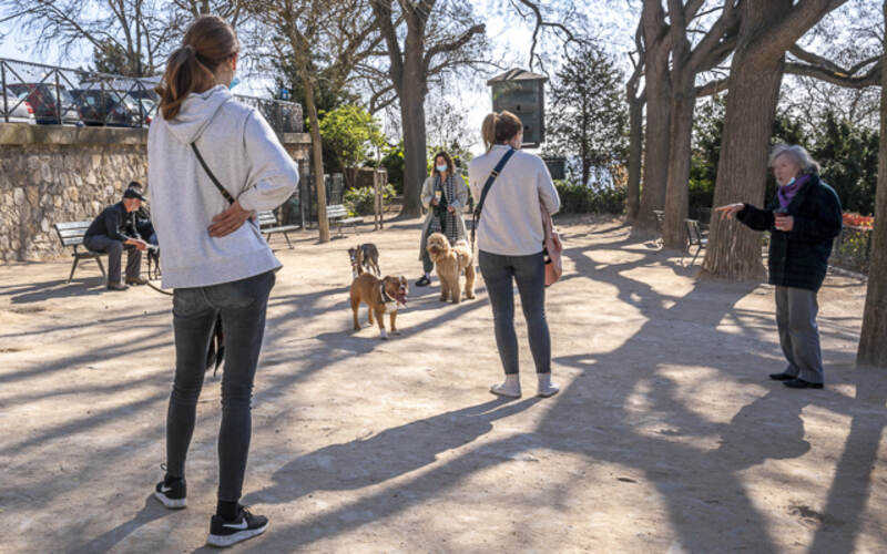 chiens au square Nadar