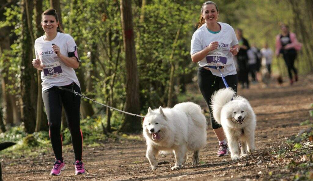 balades de chiens à Vincennes